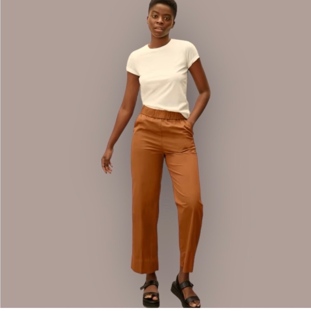 EUC Everlane The Easy Straight Leg Chino Pant Burnt Orange 4